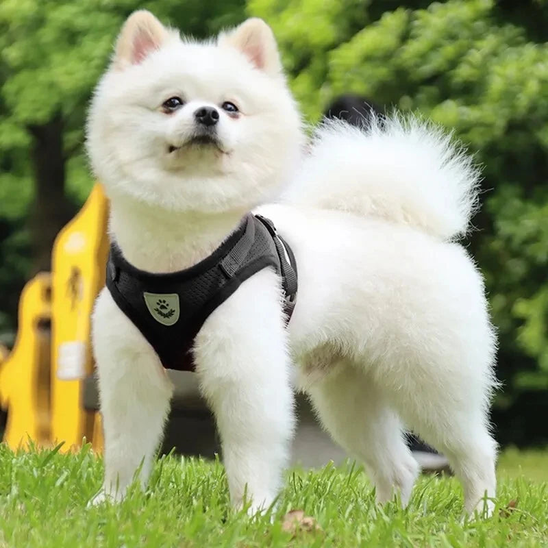 Pet Leash Undershirt Harness